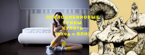 а пвп мука Грязи