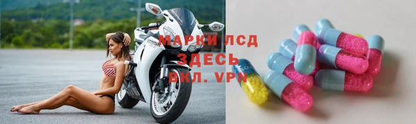 твердый Грязовец