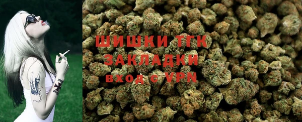твердый Грязовец