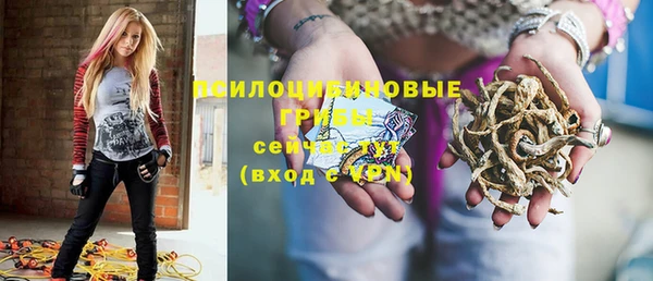 твердый Грязовец