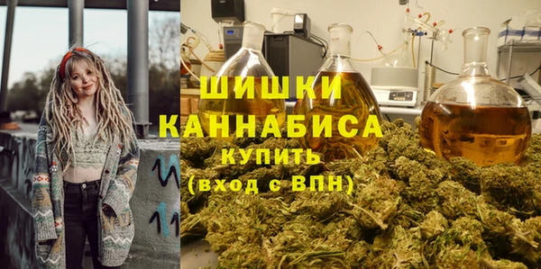 твердый Грязовец