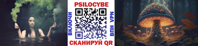 Галлюциногенные грибы Psilocybe  Завитинск 